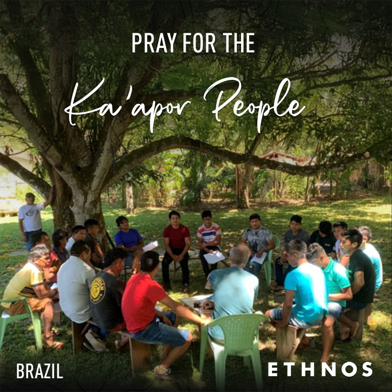 Ka’apor church gathered in a tree for a Bible study