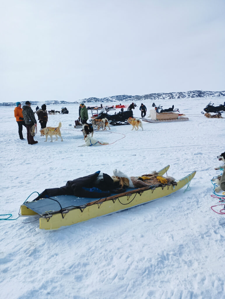 Sled dog teams in Arctic Canada