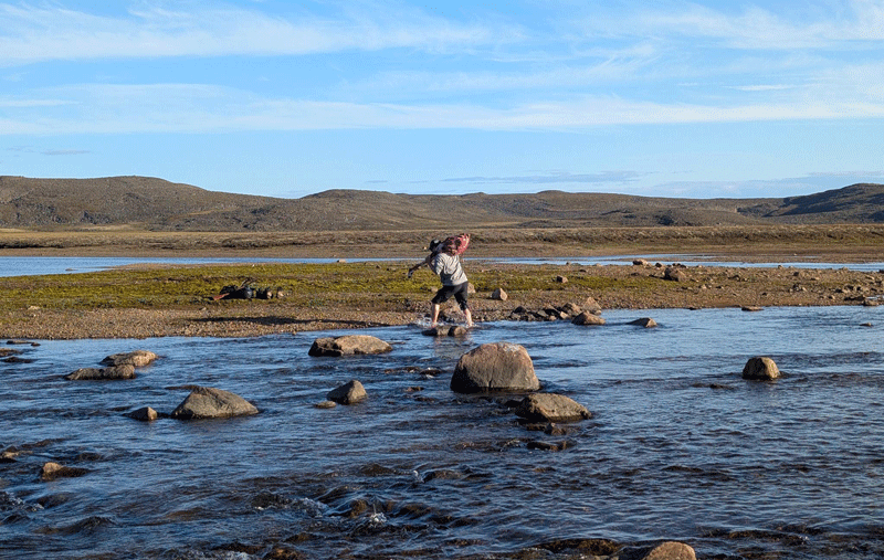 carrying home meat from the caribou hunt