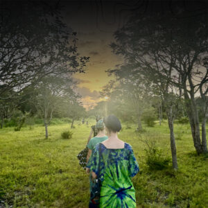 Un groupe de femmes en marche vers un village isolé pour apprendre la culture