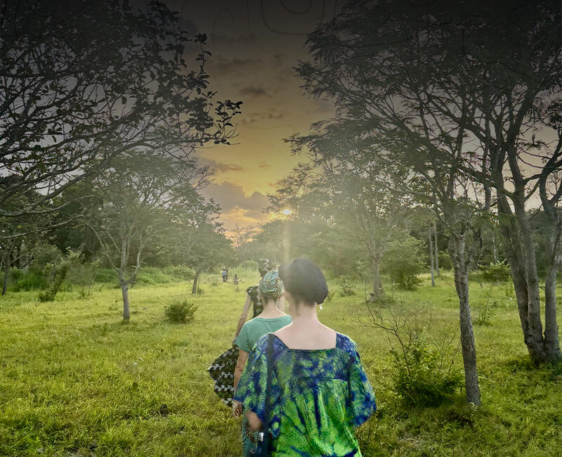 Un groupe de femmes en marche vers un village isolé pour apprendre la culture
