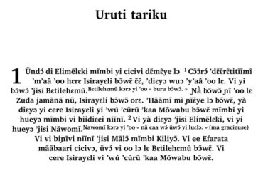 Après des années d’attente, Susie commence enfin la traduction de la Bible en Afrique de l’Ouest